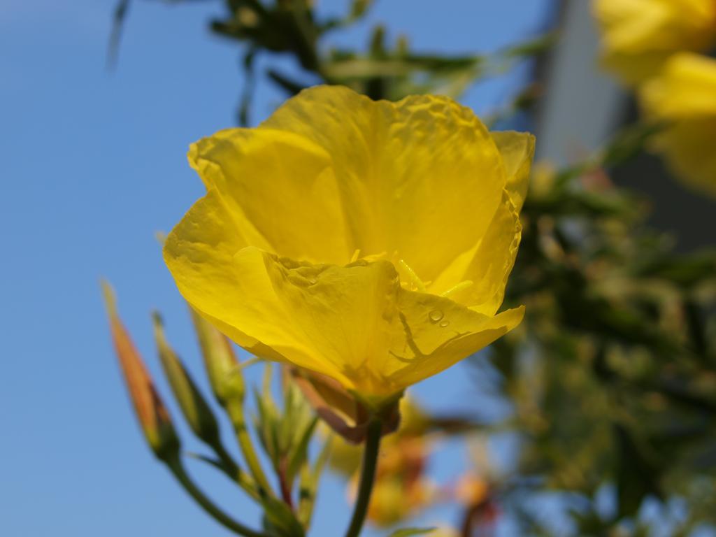 Laios Hotel (Adults Only) Λιμένας Εξωτερικό φωτογραφία